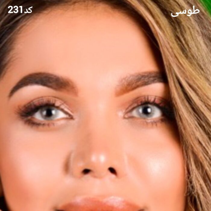 طوسی کیفیت بالا (همراه فیلم داخل چشم) کد 231